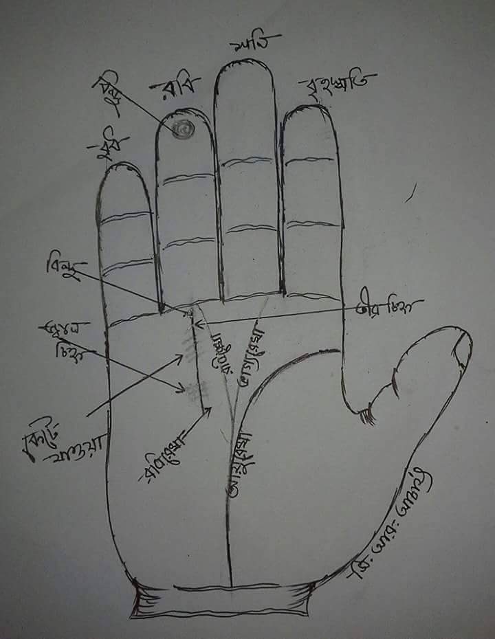 হাতের ‍রেখায় চাকরি