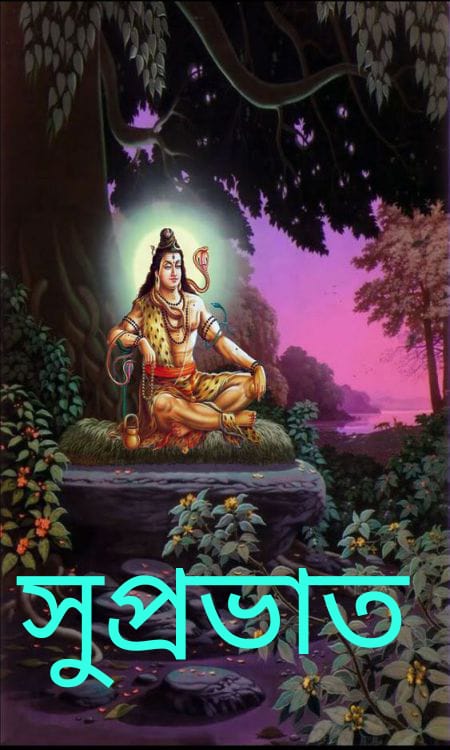 যাত্রিক লগ্ন ,বর্জিত নক্ষত্র ও নক্ষত্র শূল