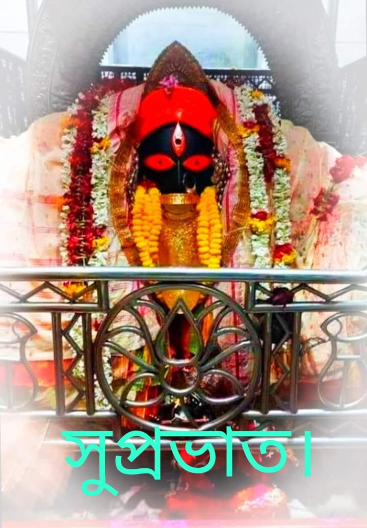 বৃষ্টি গণনা১৪২৮