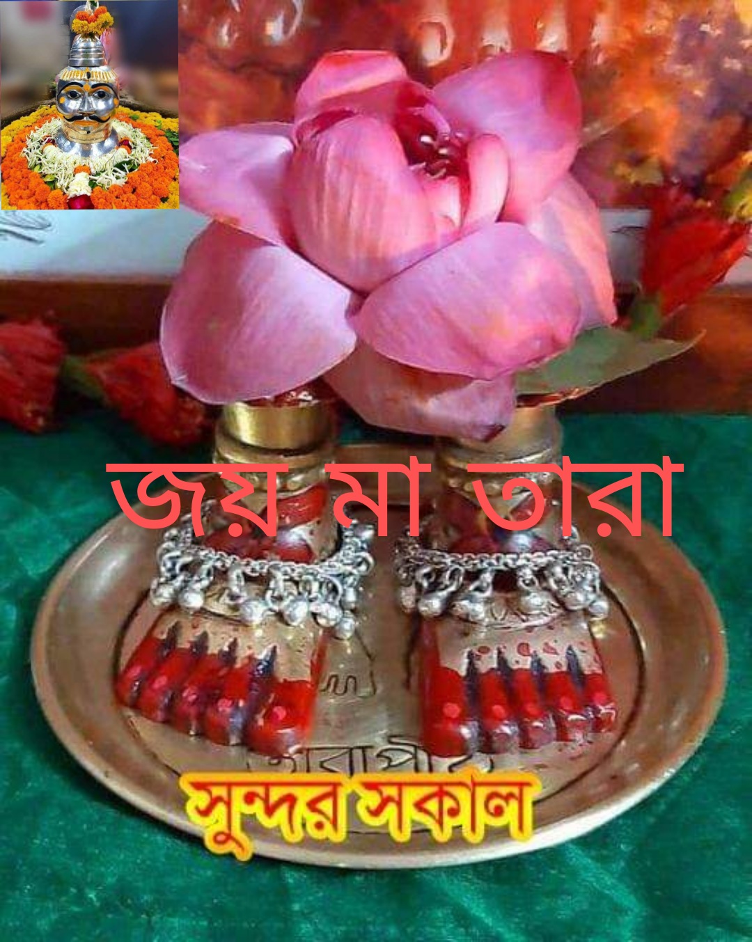 বাংলা ১৪২৮,ইং২০২১ ,দ্ধাদশ মাসের দ্ধাদশ  রাশির নক্ষত্র গত ফল,আষাঢ়