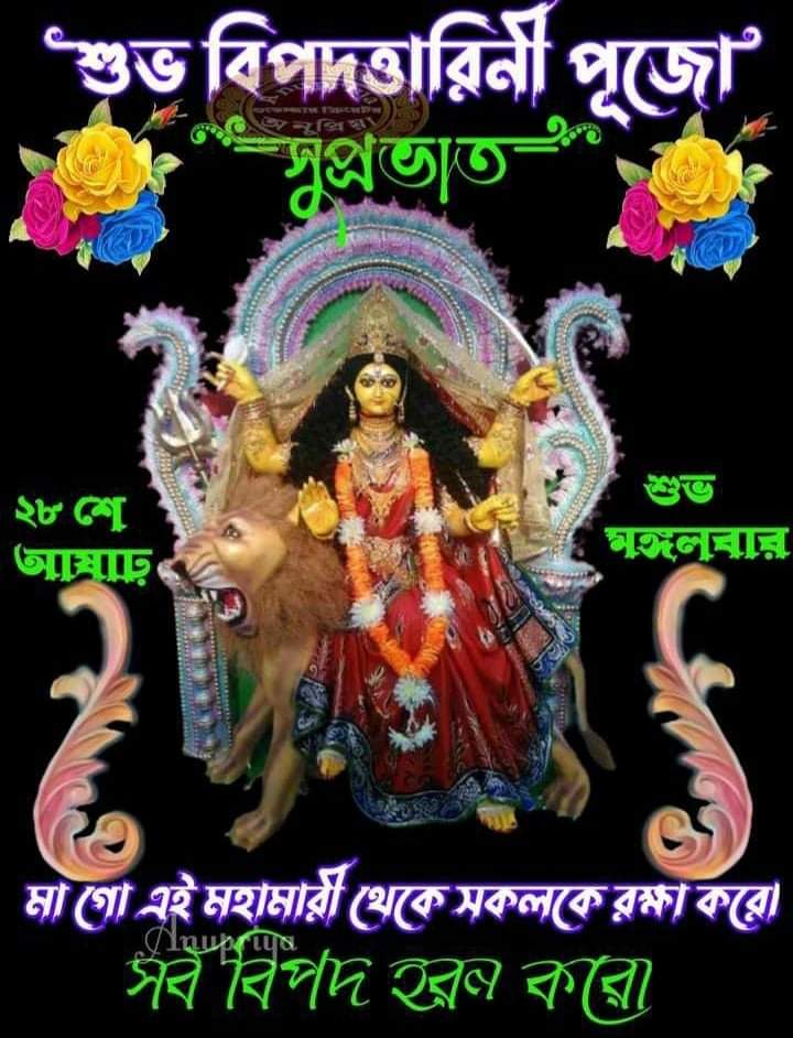 মা বিপদতারিনী পূজা করলে কি হয়